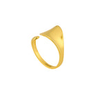 Gold ring with a unique design on a white background