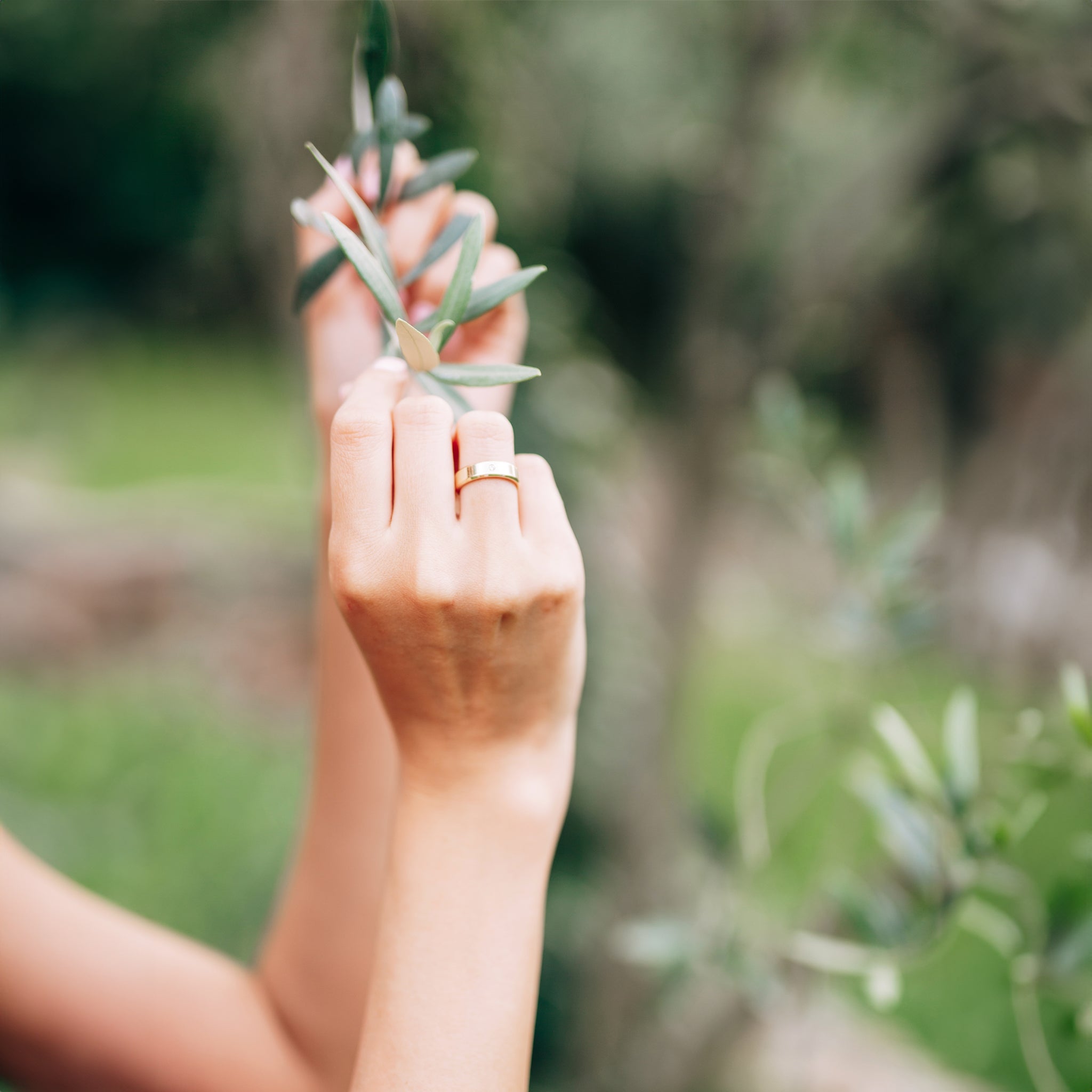A woman's hands gently holding an olive branch, adorned with a sleek 18K gold ring featuring a minimalist design. The blurred background of lush greenery creates a serene and natural setting, highlighting the elegance of the jewelry.
